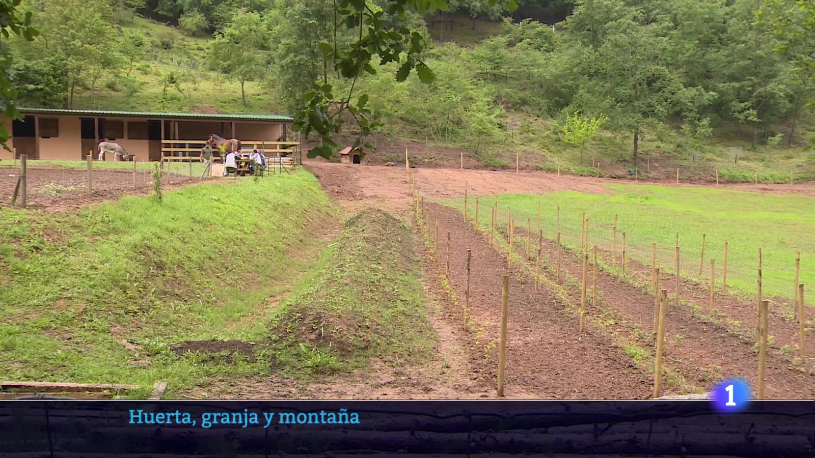 Telerioja en 2 - 06-06-2025 - Ver ahora | Ver