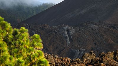 Agricultores piden ayudas tras la erupcin del volcn