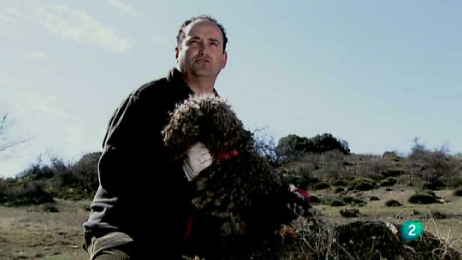 Biodiario - 13/01/13 - ver ahora