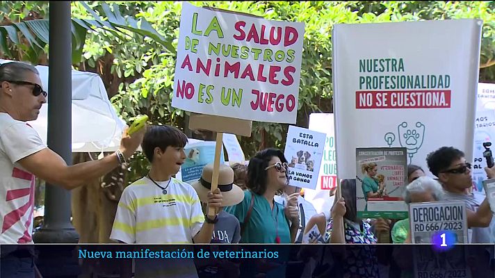 Telecanarias - Telecanarias - 08/06/2025