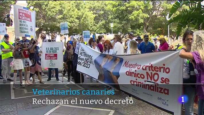 Telecanarias - Canarias en 2' - 08/06/2025