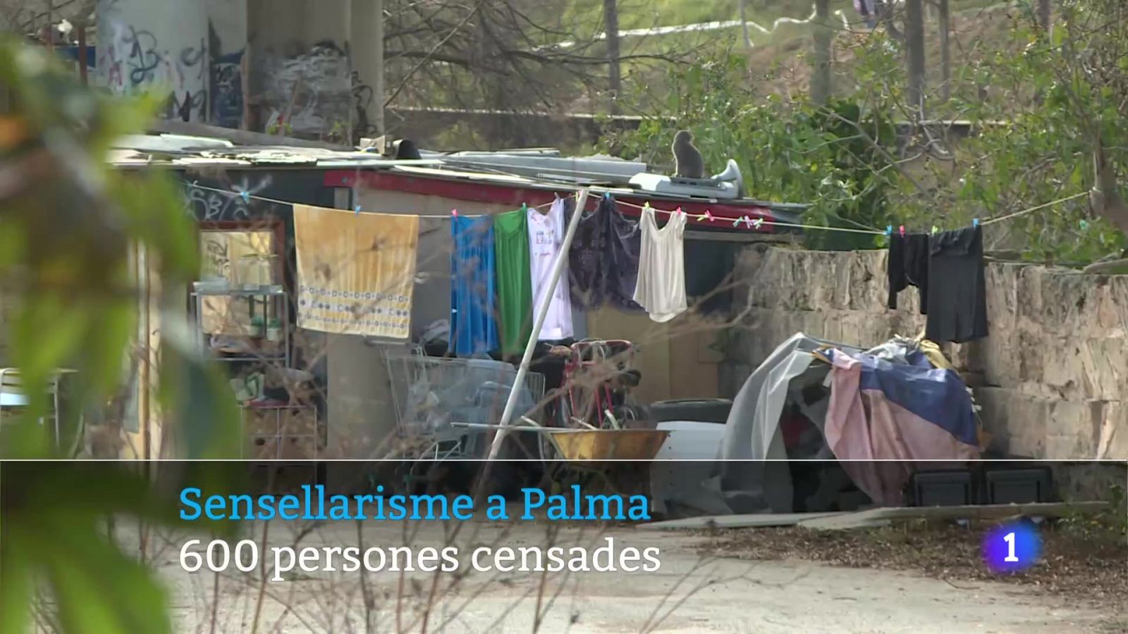 Informatiu Balear 1 - 09/06/25 Veure ara