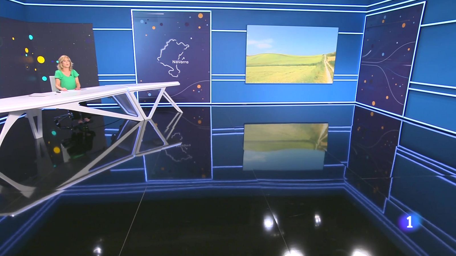 Telenavarra - 09/06/2025 | Ver