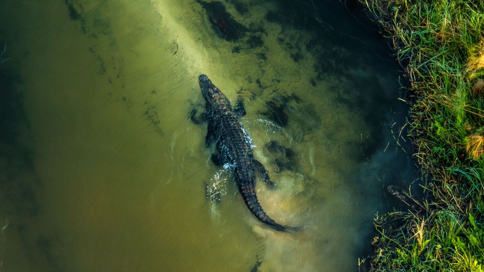 El Okavango. El río de los sueños - Episodio 1: El paraíso - ver ahora