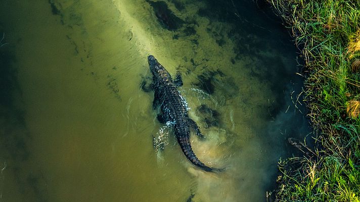 El Okavango. El río de los sueños - El paraíso