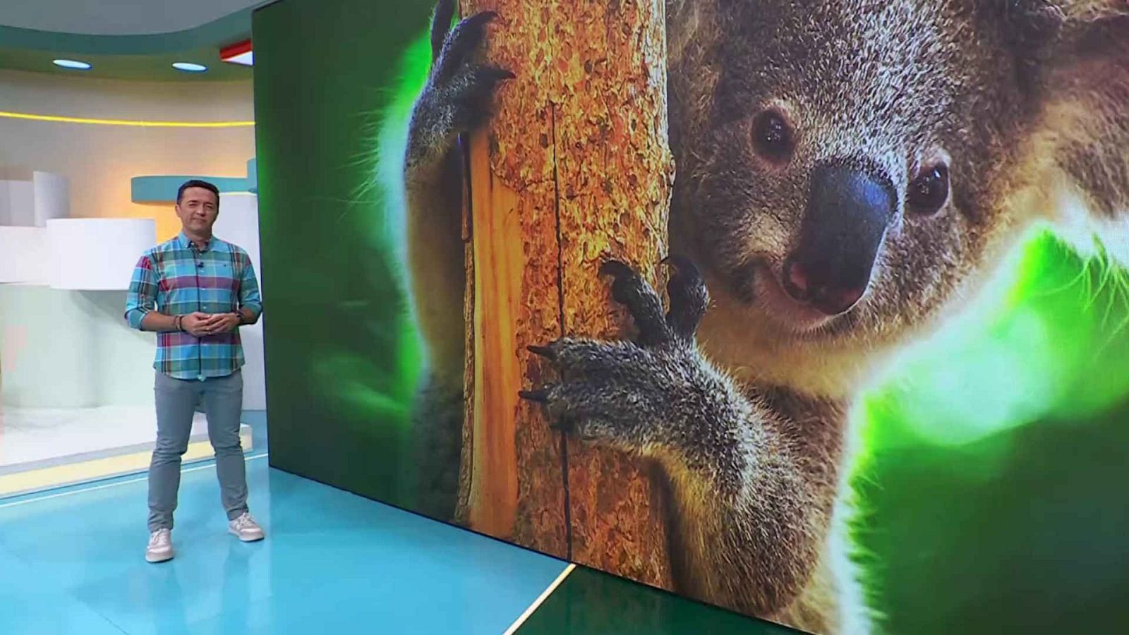 Aquí la Tierra - 09/06/25 - ver ahora