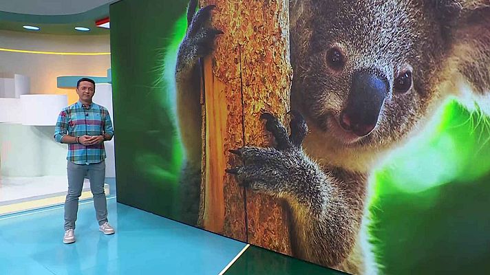 Aquí la Tierra - Aquí la Tierra - 09/06/25