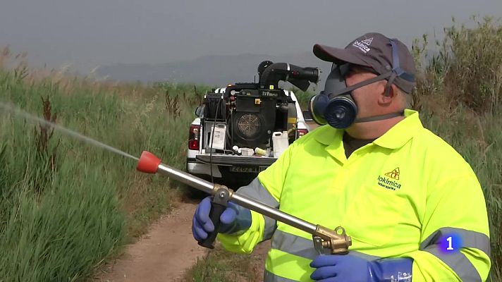 L'informatiu - Comunitat Valenciana - L'Informatiu de la Comunitat Valenciana 2 - 11/06/25