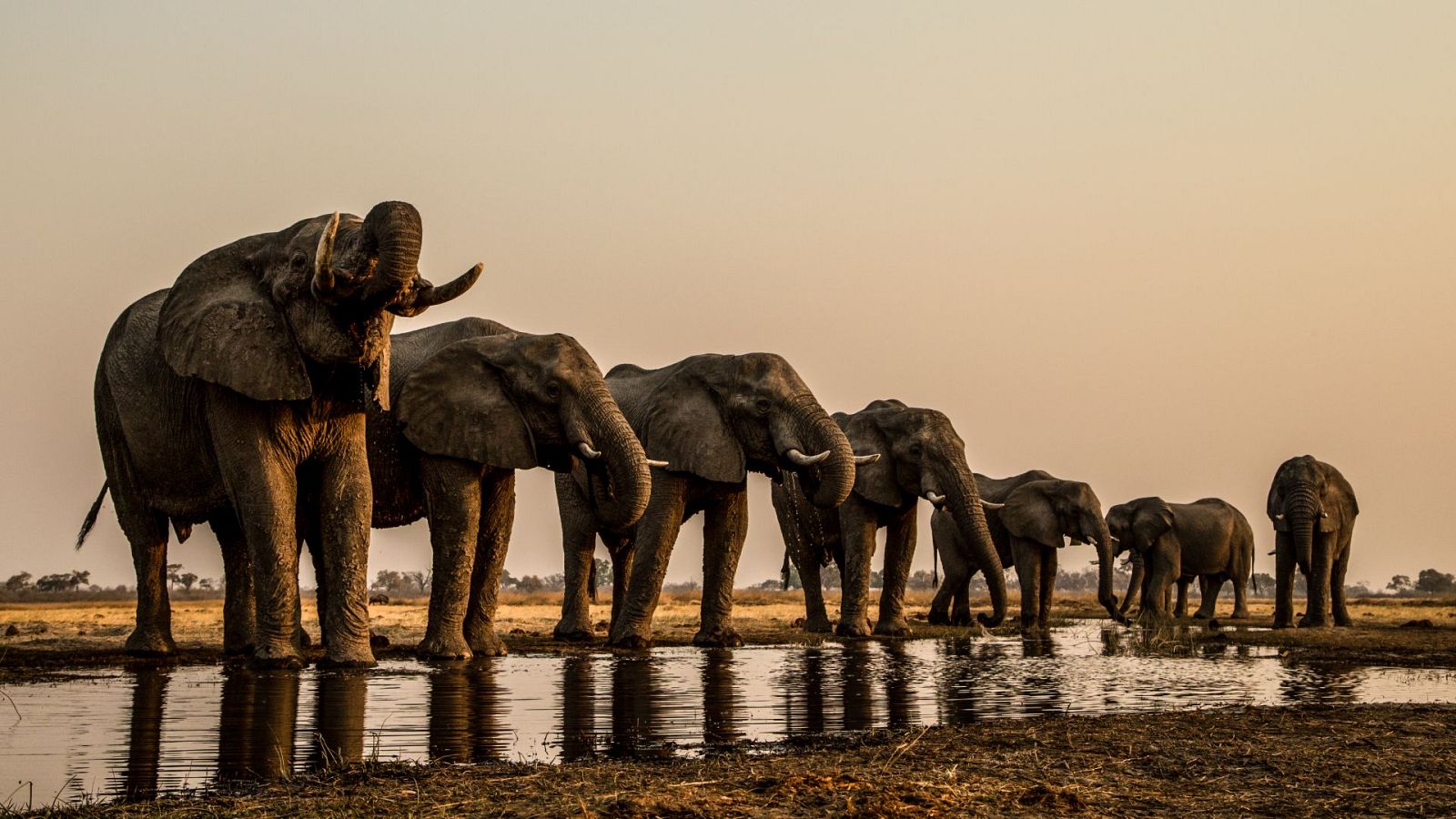 El Okavango. El río de los sueños - Episodio 3: El infierno - El Okavango. El río de los sueños | Ver