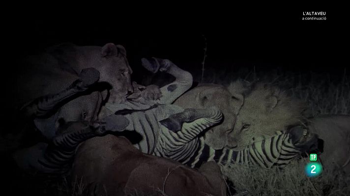 Som Documentals - L'Okavango, el riu dels somnis. Episodi 3: L'infern.