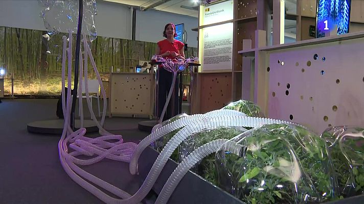 Sónar 2025: una edició marcada per la polémica amb Israel