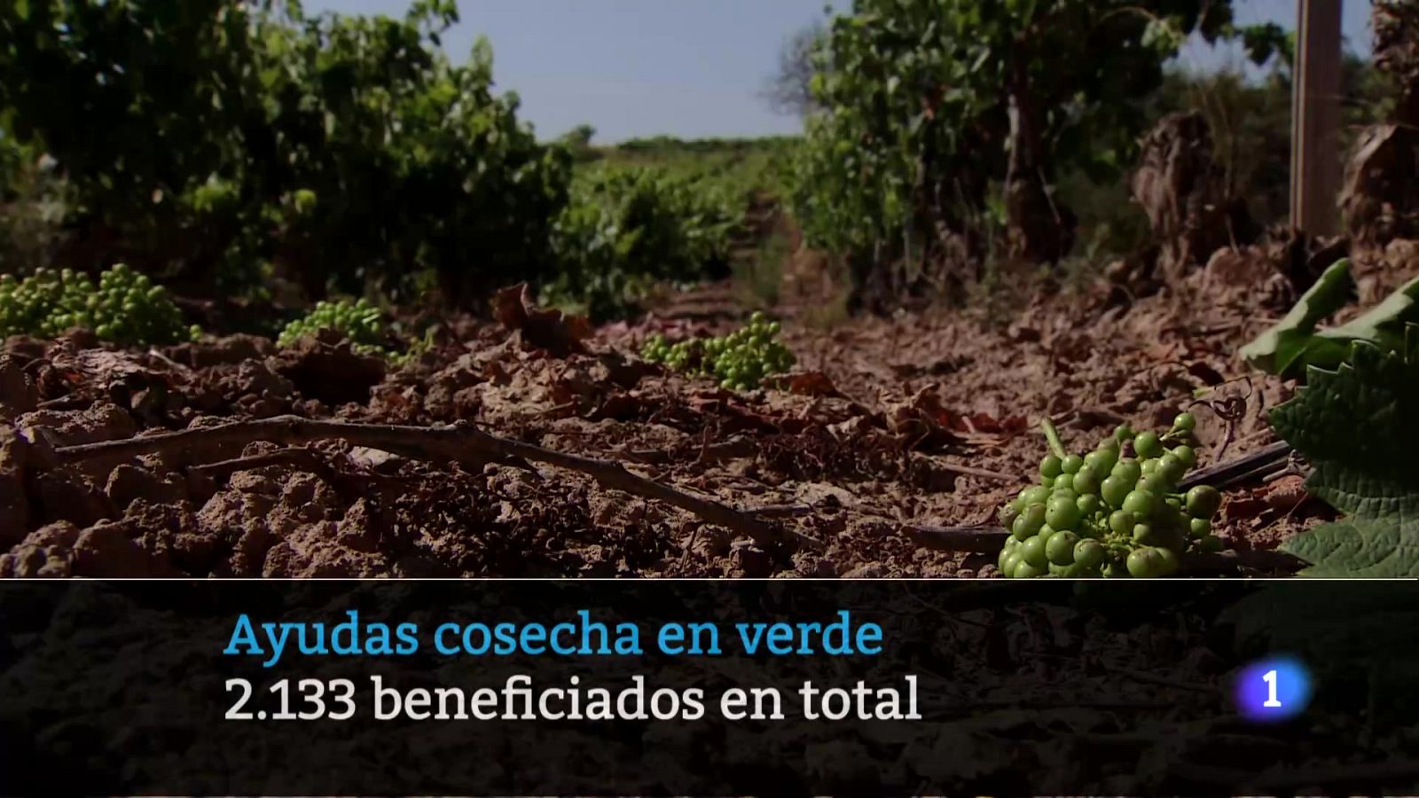 Telerioja en 2 - 13-06-2025 - Ver ahora | Ver