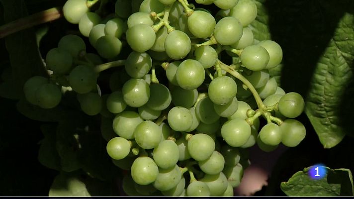 Informativo Telerioja - Informativo Telerioja 2 - 13-06-2025 - Ver ahora