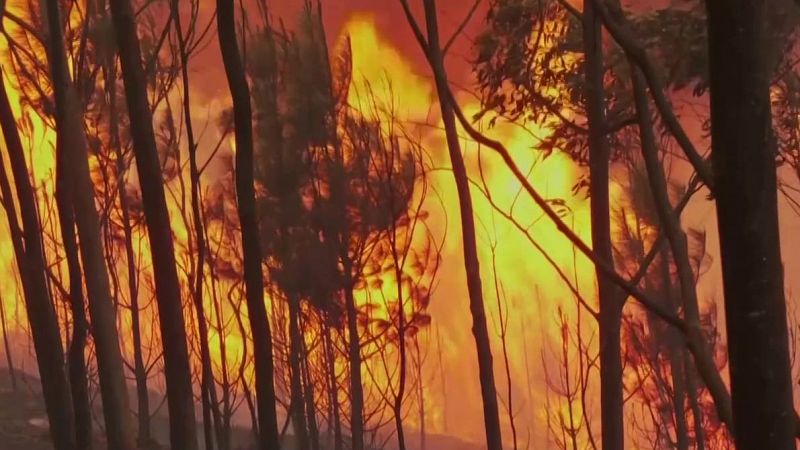 Objetivo Planeta - Coexistir con el fuego - Objetivo Planeta | Ver