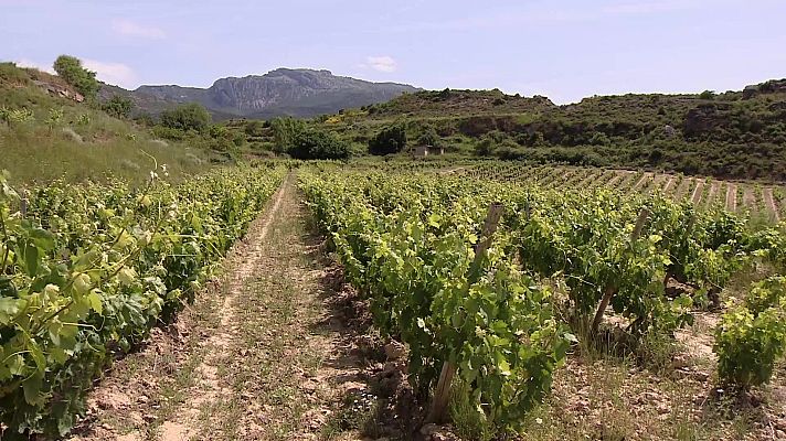 Agrosfera - Agrosfera - 14/06/25