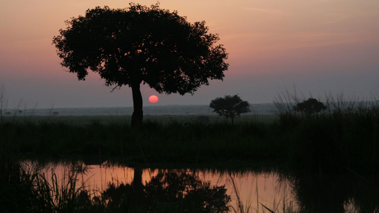 Documentos TV - Proteger bajo el fuego - Avance - Documentos TV | Ver