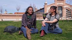 El escarabajo verde - Ley de la restauración de la Naturaleza II