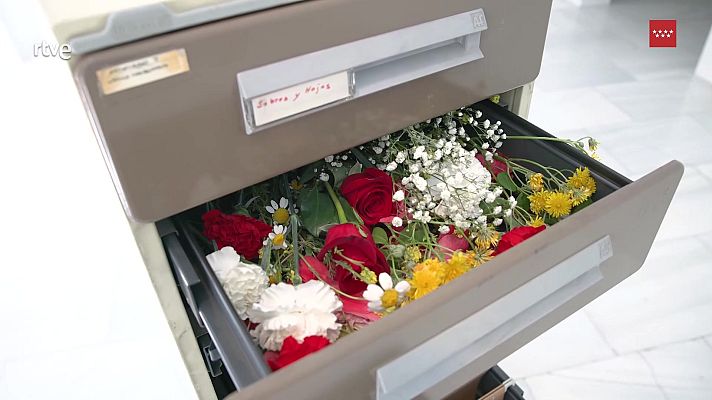 La aventura del Saber - Materia afectiva