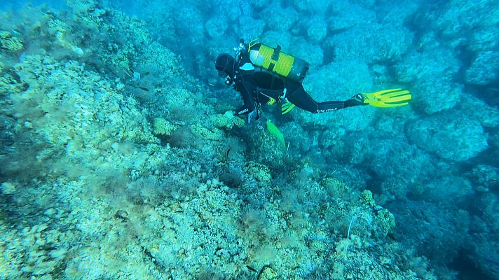 L'informatiu - Comunitat Valenciana - L'Informatiu Comunitat Valenciana 1 - 16/06/25