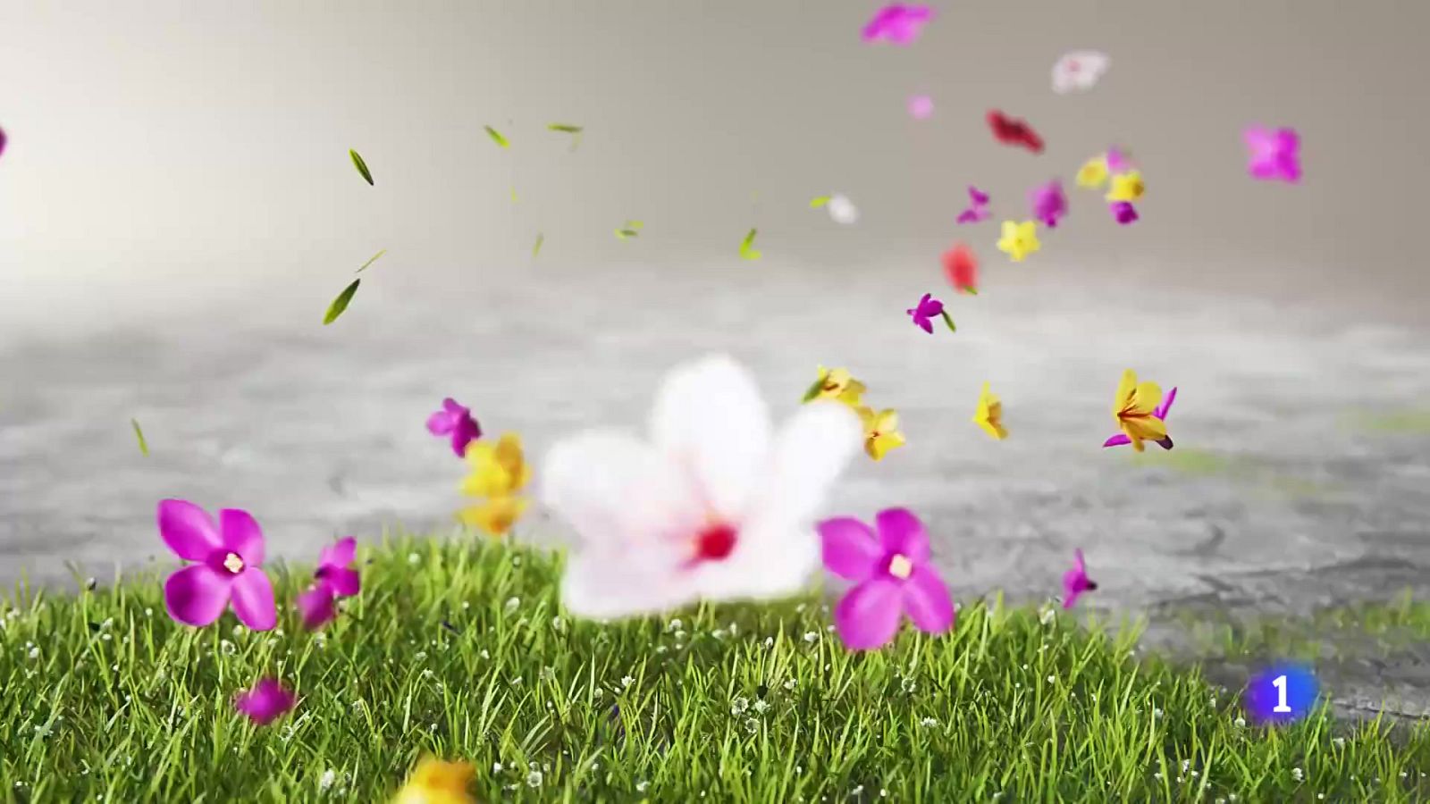 El tiempo en Galicia    16-06-2025 | Ver