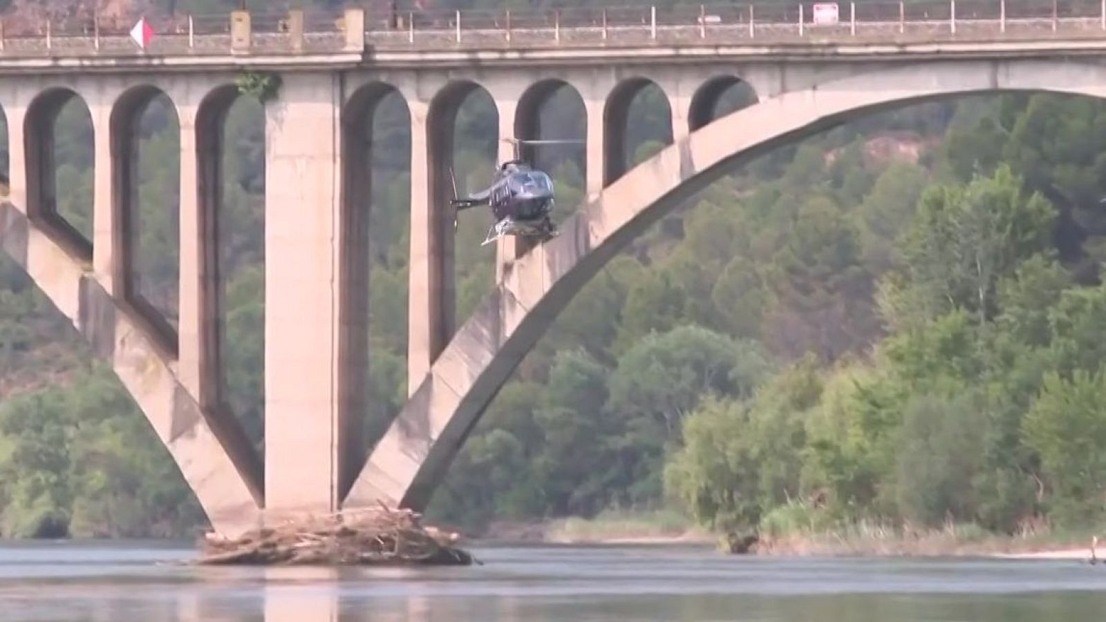 Plaga de mosca negra a l'Ebre - L'Altaveu - L'altaveu | Veure