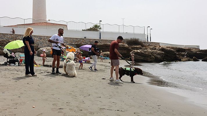 La tarde en 24h - Socorristas de cuatro patas en Torrox, Málaga