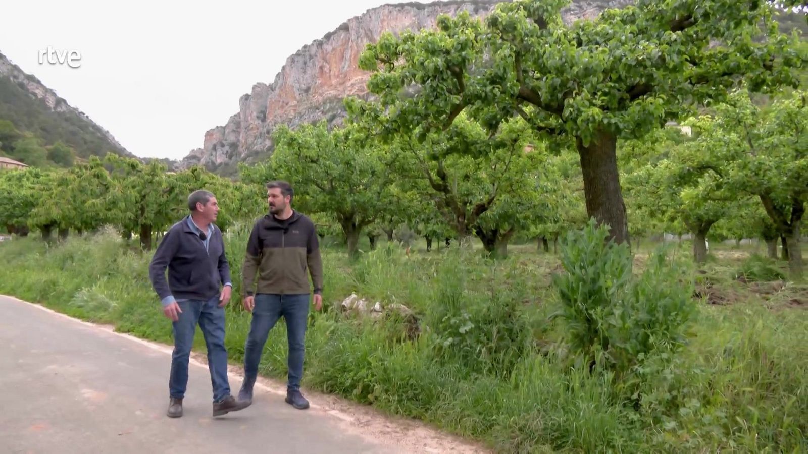 Aquí la Tierra - 16/06/25 - Aquí la Tierra | Ver