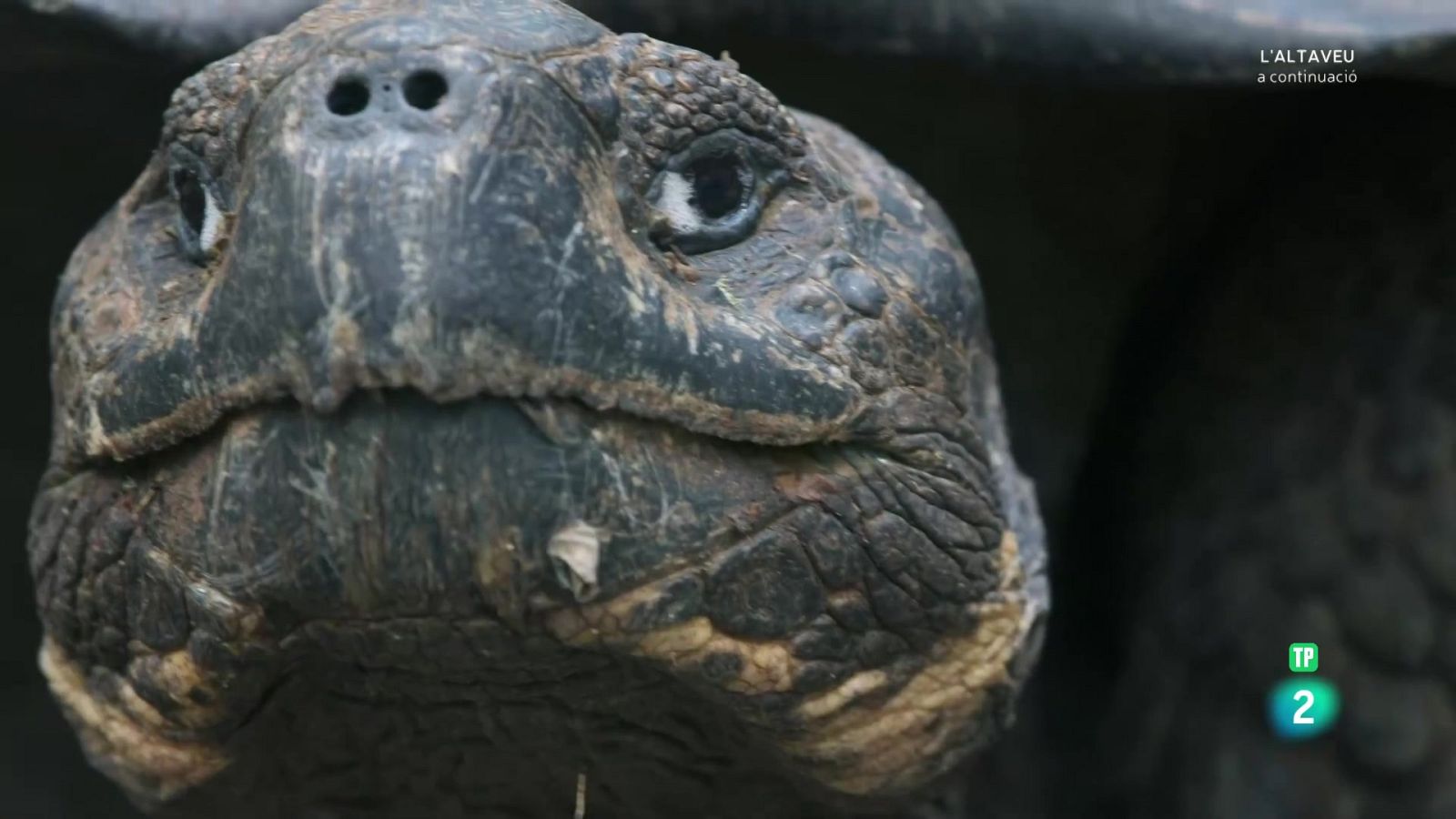 Grans Documentals - Llocs per visitar abans de morir. Ep 1: L'Amèrica del sud - Veure Ara