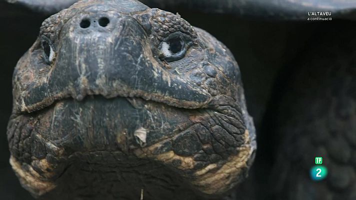 Som Documentals - Llocs per visitar abans de morir. Ep 1: L'Amèrica del sud