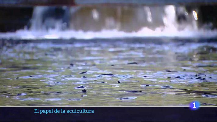 Informativo Telerioja - Informativo Telerioja 17-06-2025