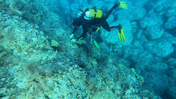  - Un equip del CSIC detecta concentracions rècord de microplàstics a les illes Columbretes