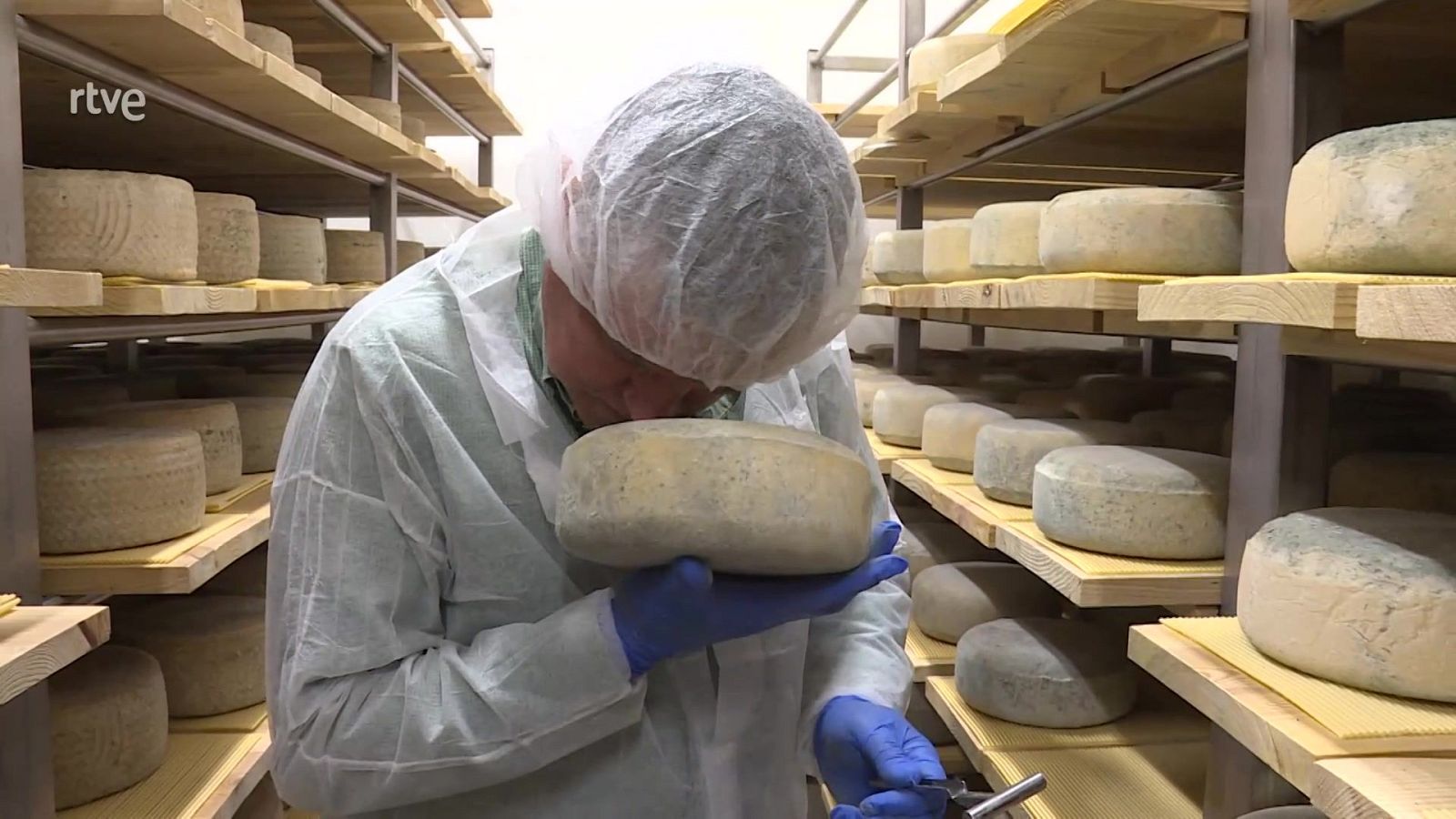 Afinadores de quesos: los maestros del olfato y del gusto - Aquí hay trabajo | Ver