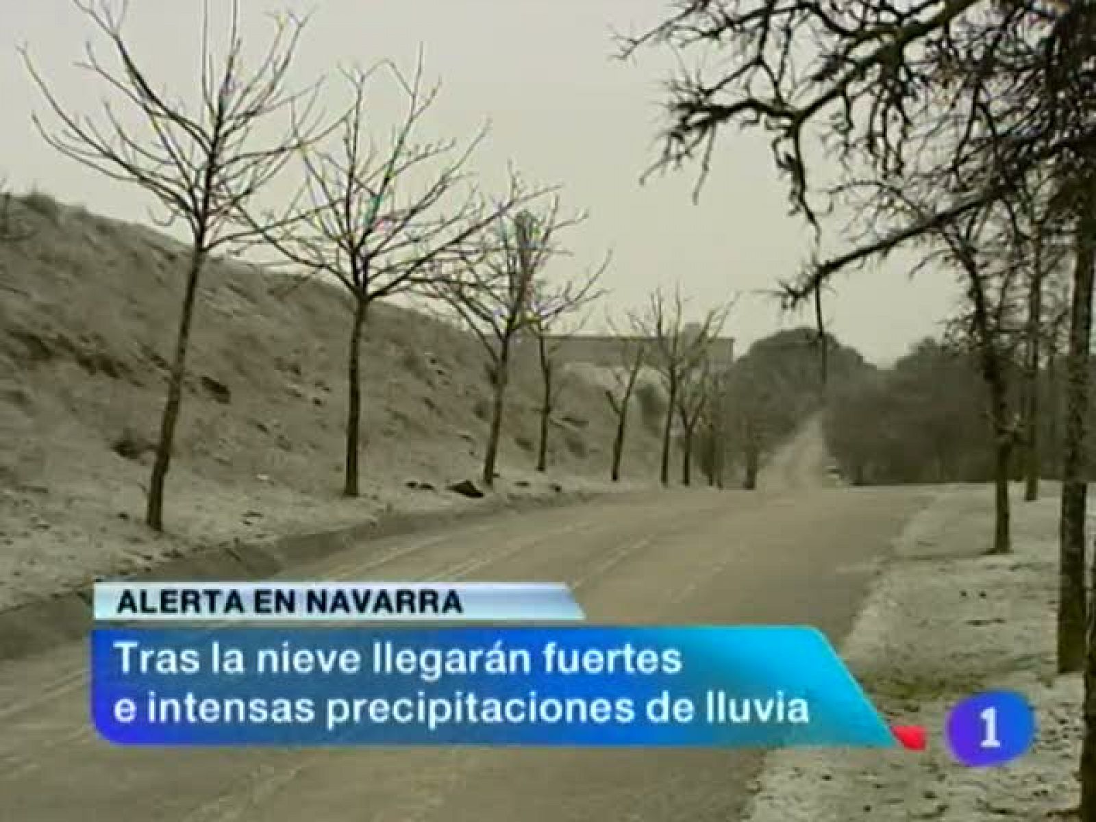 Telenavarra: Telenavarra en 2' - 14/01/13 | RTVE Play