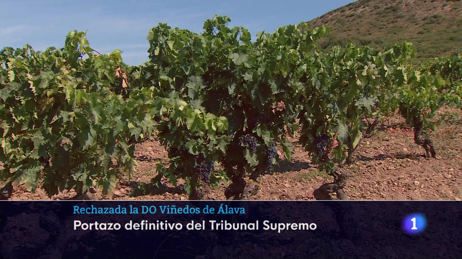 Informativo Telerioja 19-06-2025 Ver ahora | Ver