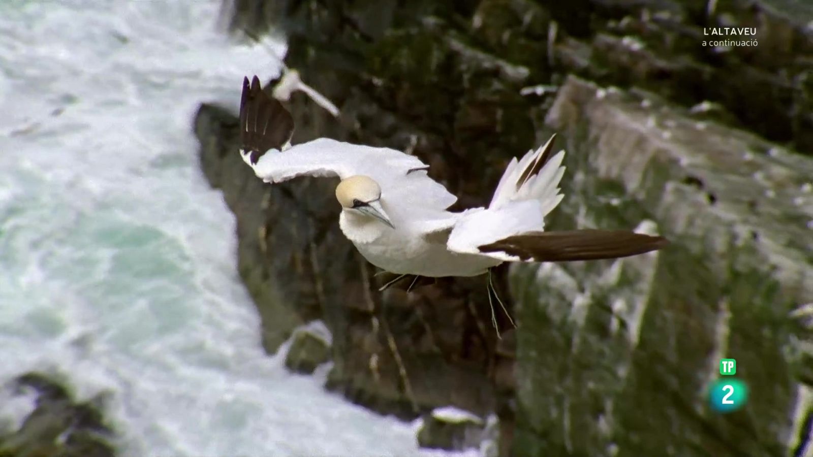 Grans Documentals - Llocs per visitar abans de morir. Ep 3: Europa - Veure Ara