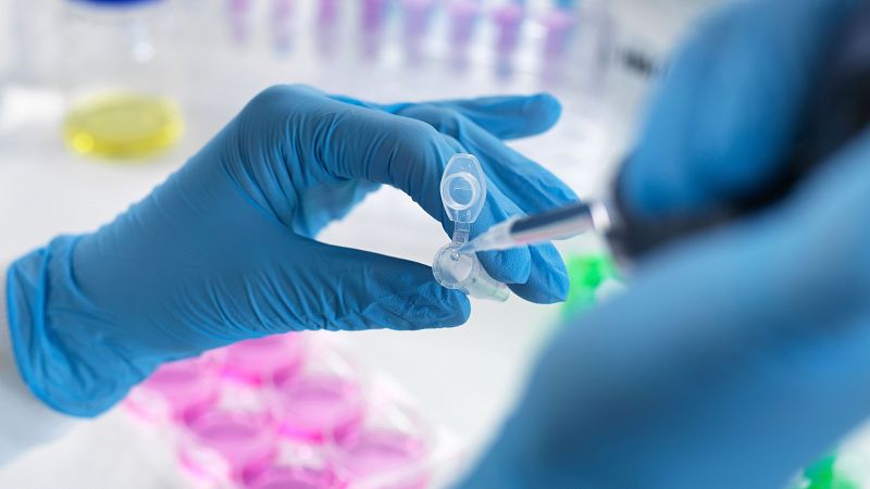 Las terapias con células CAR-T, un cambio de paradigma contra el cáncer - Telediario 1 | Ver