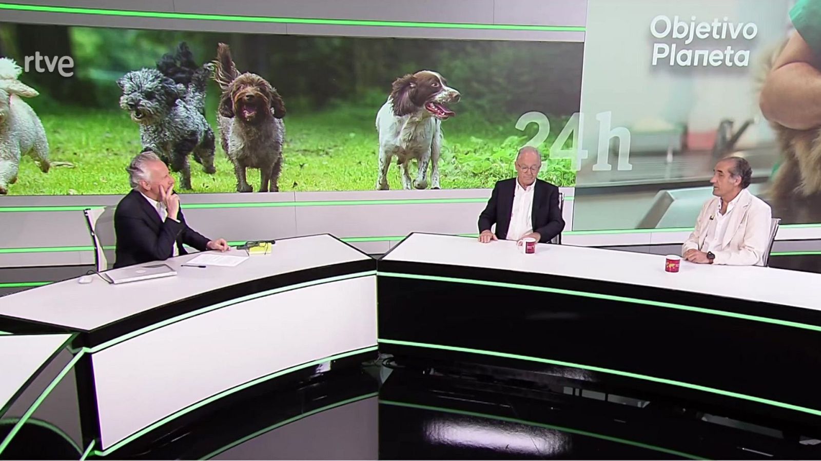 Objetivo Planeta - ¿De qué se quejan los veterinarios? - Objetivo Planeta | Ver