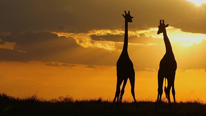 Som Documentals - Llocs per visitar abans de morir. Ep 4: L'Àfrica