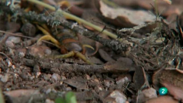 Biodiario - Biodiario - 14/01/13