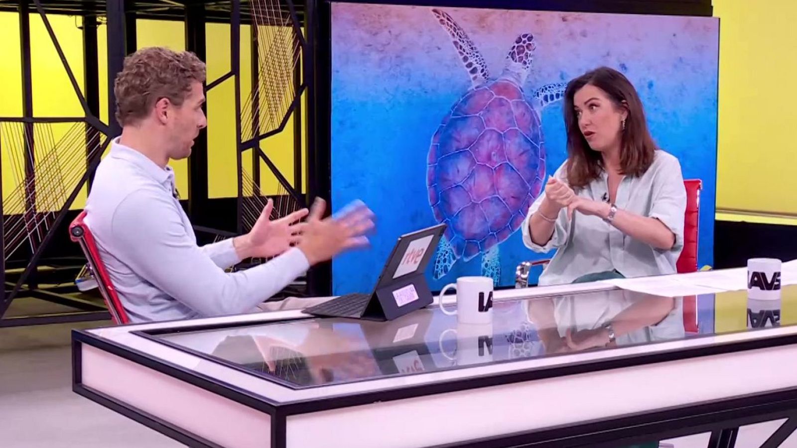 Luz Rello. Inteligencia artificial y tortugas marinas | Ver