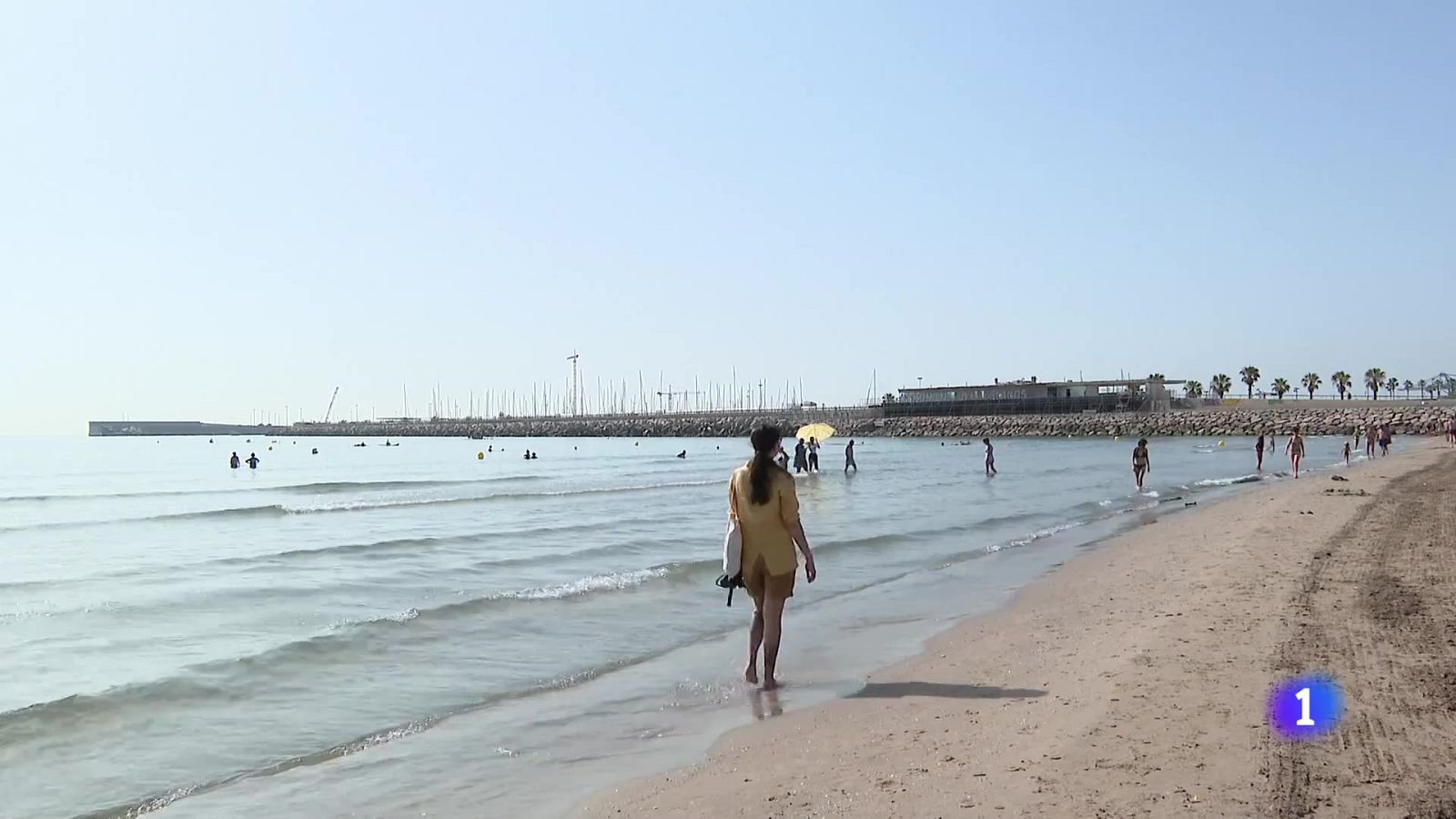 L'Informatiu Comunitat Valenciana 1 - 24/06/25 | Ver