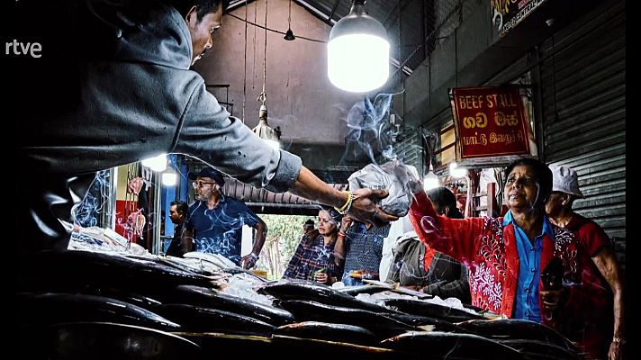 La aventura del Saber - Boek visual: Rober Tomás
