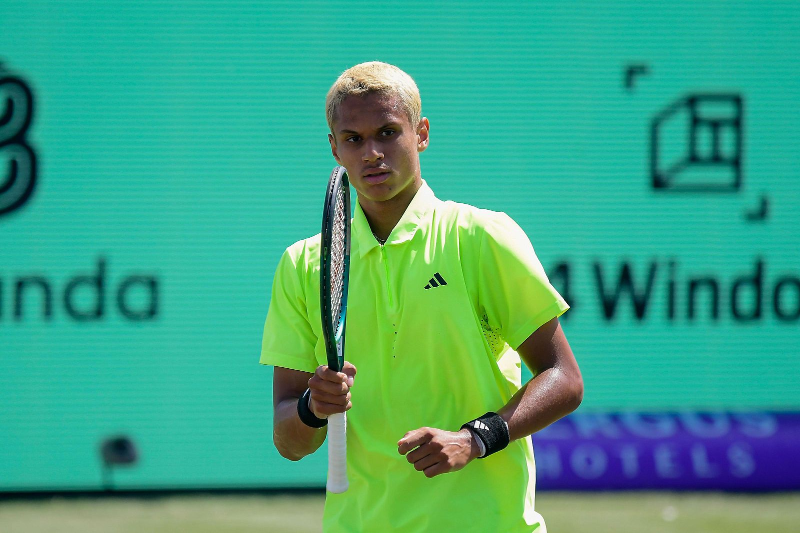 Tenis - ATP Mallorca. ¼ final: Diallo - Griekspoor - Tenis | Ver