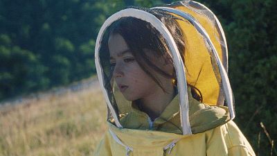 20.000 especies de abejas