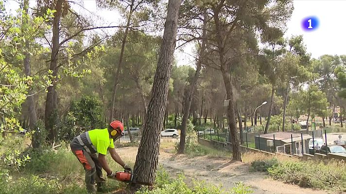 L'Informatiu - Protegir les cases del foc amb les franges de protecció