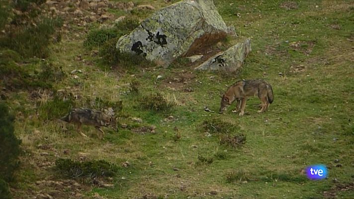 Panorama Regional - Asturias en 2' - 27/06/25