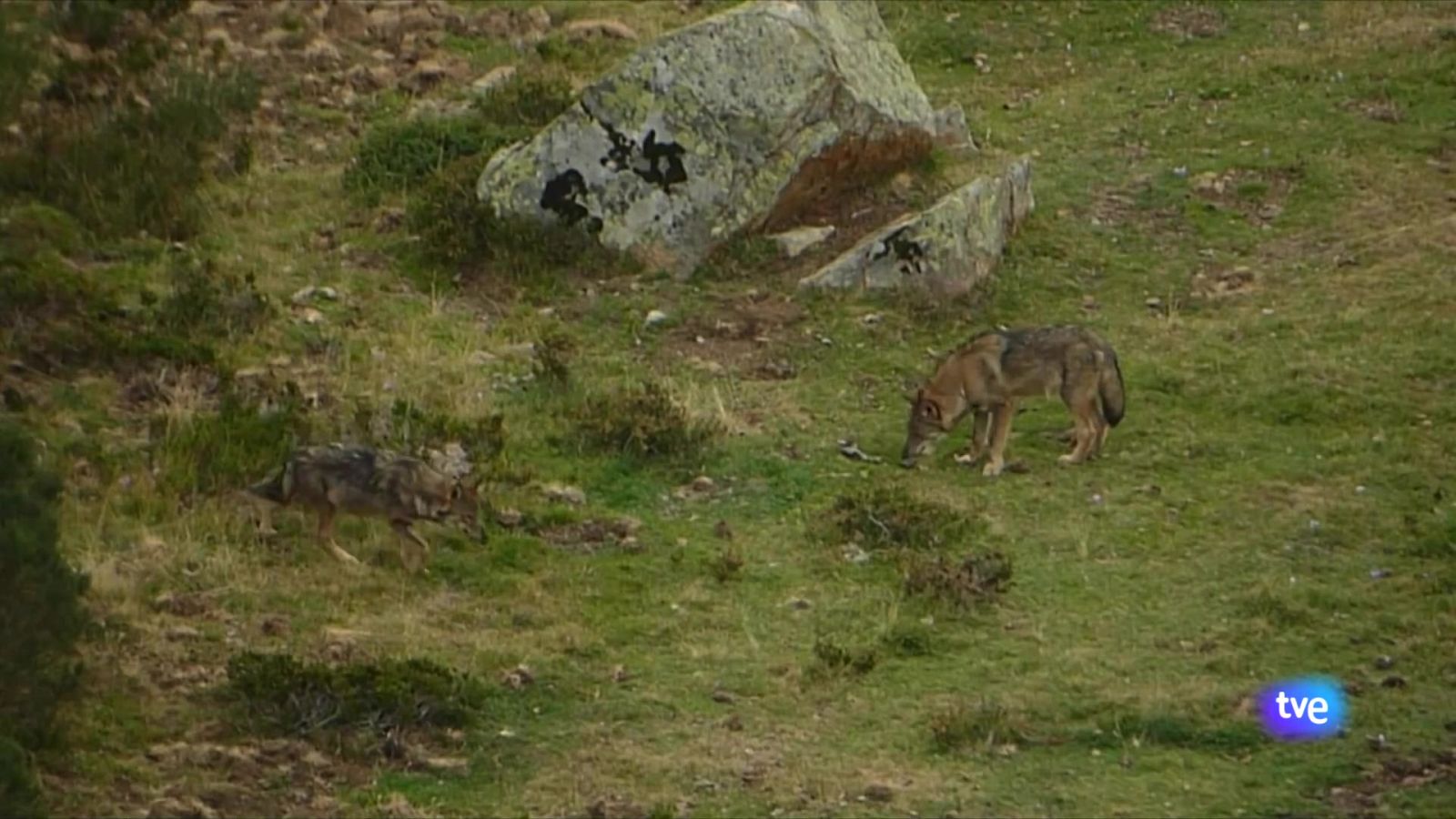 Panorama Regional - 27/06/2025 - Ver ahora