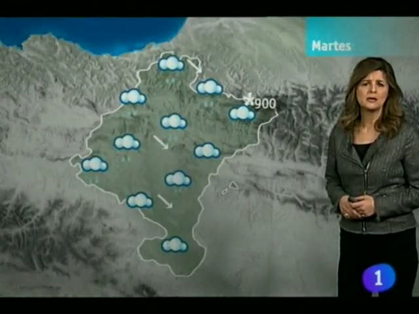 El Tiempo en la Comunidad de Navarra - 15/01/13 | Ver