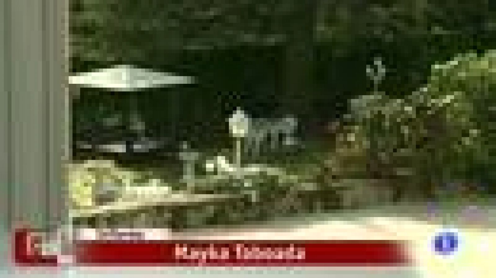 Corazón - Camilo Sesto - D Corazón | Ver