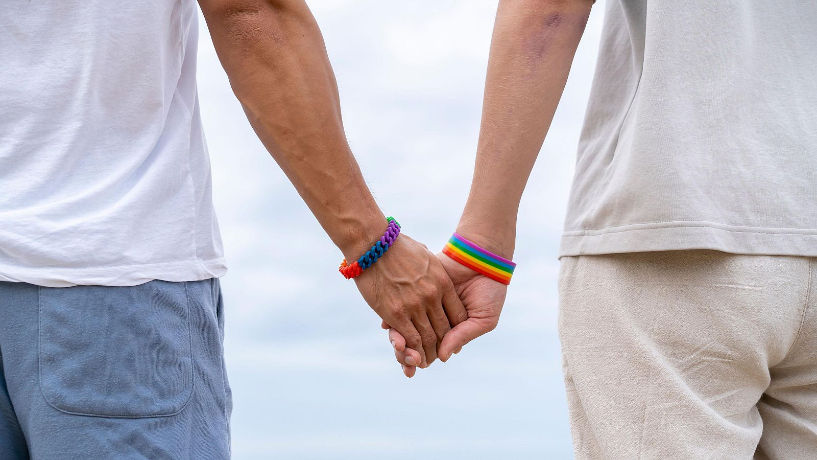 El matrimonio igualitario cumple 20 años | Ver